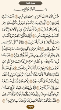 ترتیل قرآن صفحه 377