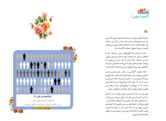 پوستر و استوری حکمت 80 نهج البلاغه: گمشده مومن