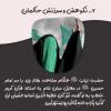 پوستر:  جلوه های مقاومت در خطبه های حضرت زینب (س)
