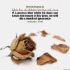 If a person dies while he does not know the Imam of his time, he will die a death of ignorance