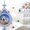 تکریم بقاع متبرکه: ساخت امامزاده های جدید (+پوستر)