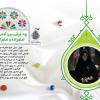 بقاع متبرکه: چه فرقی بین آداب زیارت امامزاده و امام است؟ (+پوستر)