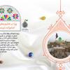 تکریم بقاع متبرکه:چرا در کشورهای دیگر امامزاده نیست؟ (+پوستر)