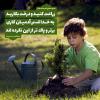 اهمیت درخت و درختکاری (عکس نوشته)