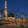 کبوترهای مسجد النبی