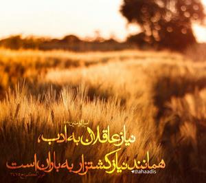 امام علی(ع): نیاز عاقلان به ادب همانند نیاز کشتزار به باران است. (غرر الحکم، ح3457)