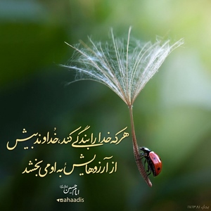 امام حسین (ع): هرکه خدا را بندگی کند، خداوند بیش از آرزوهایش به او می بخشد (بحار الأنوار، ج 71، ص 183)