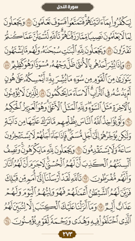 ترتیل قرآن صفحه 273 