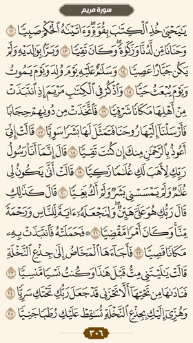 ترتیل قرآن صفحه 306 