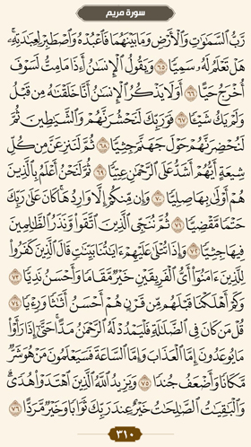 ترتیل قرآن صفحه 310 