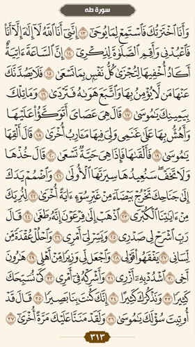 ترتیل قرآن صفحه 313 