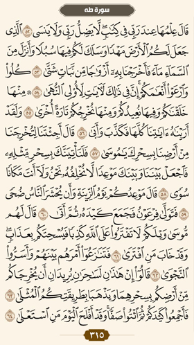 ترتیل قرآن صفحه 315 