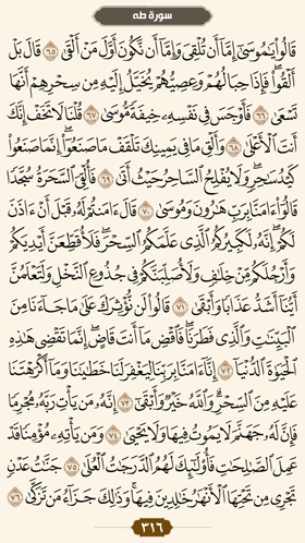 ترتیل قرآن صفحه 316 