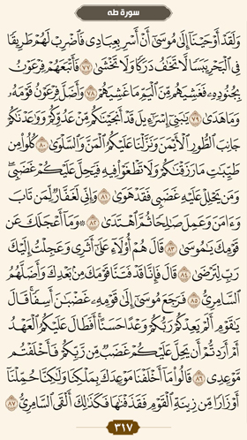 ترتیل قرآن صفحه 317 