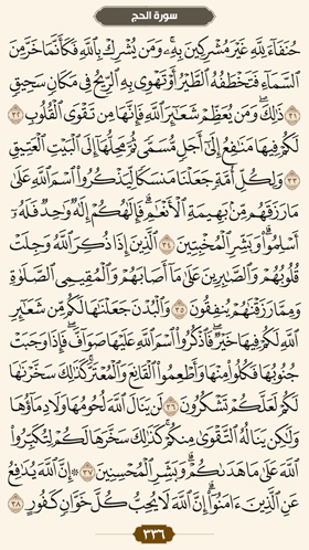 ترتیل قرآن صفحه 336 