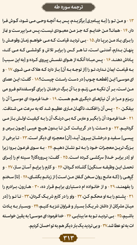 ترتیل صفحه 313 قرآن 