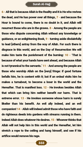 ترتیل صفحه 333 قرآن 