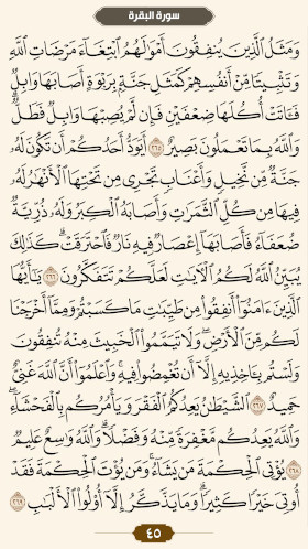 ترتیل قرآن صفحه ۴۵