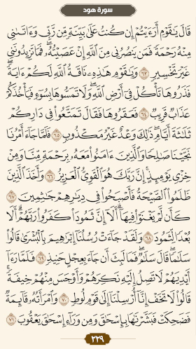 ترتیل قرآن صفحه۲۲۹ 