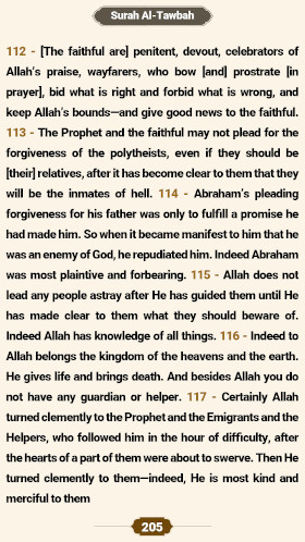 ترتیل صفحه ۲۰۵ قرآن 