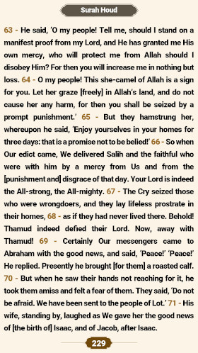 ترتیل صفحه۲۲۹ قرآن 