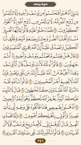 ترتیل قرآن صفحه 246 