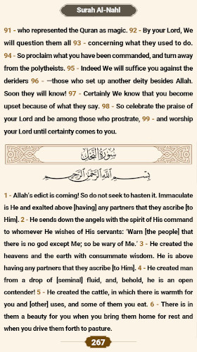 ترتیل صفحه 267 قرآن 