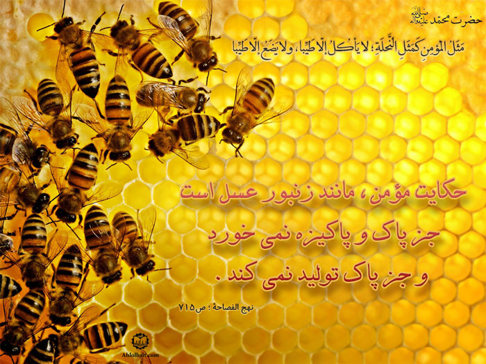 پیامبر (ص): مَثَلُ المُؤمِنِ كَمَثَلِ النَّحلَةِ ؛ لا يَأكُلُ إلّا طَيِّبا ، ولا يَضَعُ إلّا طَيِّبا حكايت مؤمن ، مانند زنبور عسل است  جز پاك و پاكيزه نمى خورد و جز پاك توليد نمى كند. (نهج الفصاحة ؛ ص715)