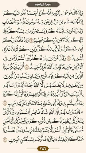 ترتیل قرآن صفحه 256 