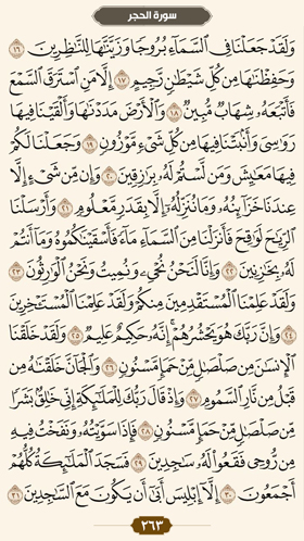 ترتیل قرآن صفحه 263 