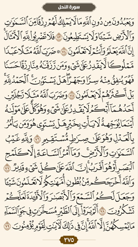 ترتیل قرآن صفحه 275 