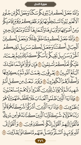 ترتیل قرآن صفحه 276 