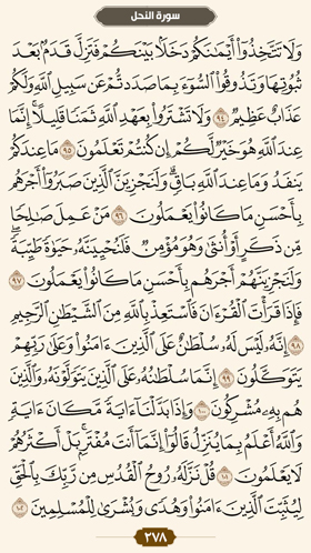 ترتیل قرآن صفحه 278 