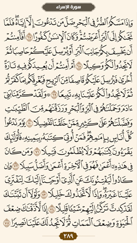 ترتیل قرآن صفحه 289 