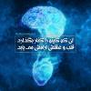 آن كه كينه را كنار بگذارد، قلب و عقلش آرامش مى يابد