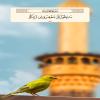 سَابِقُوا إِلَى مَغْفِرَةٍ مِنْ رَبِّكُمْ