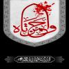  استوری شهادت حضرت حمزه (ع)