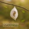مَثَلُ اَلْحَرِيصِ عَلَى اَلدُّنْيَا كَمَثَلِ دُودَةِ اَلْقَزِّ كُلَّمَا اِزْدَادَتْ عَلَى نَفْسِهَا لَفّاً كَانَ أَبْعَدَ لَهَا مِنَ اَلْخُرُوجِ حَتَّى تَمُوتَ غَمّاً