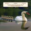 Follow them who do not ask you any reward and they are rightly guided