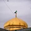 حرم حضرت فاطمه معصومه علیها السلام