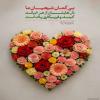 بی گمان شیعیان ما، دلهایشان از هر خیانت، کینه و فریبکاری پاک است.