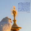 🔹إِنَّمَا كَانَتْ شِيعَةَ عَلِيٍّ اَلْمُتَبَاذِلُونَ فِي وَلاَيَتِنَا اَلْمُتَحَابُّونَ فِي مَوَدَّتِنَا اَلْمُتَزَاوِرُونَ لِإِحْيَاءِ أَمْرِنَا إِنْ غَضِبُوا لَمْ يَظْلِمُوا وَ إِنْ رَضُوا لَمْ يُسْرِفُوا بَرَكَةٌ لِمَنْ جَاوَرُوا سِلْمٌ لِمَنْ خَالَطُوا