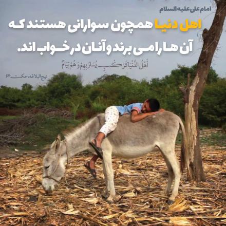 عکس نوشته: غفلت دنيا پرستان