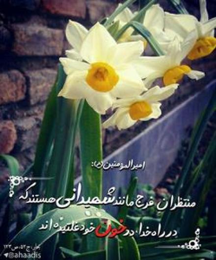 حدیث:  مقام منتظران فرج (+عکس نوشته و پوستر) 