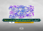 کلیپ: شرح‌‌صحیفه‌سجادیه/  اهمیت صلوات در دعا 