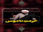 کلیپ: حجت الاسلام کاشانی/ حرمت ناموس