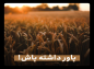 استوری: حجت الاسلام محمدرضا رنجبر/ باور داشته باش