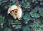 کلیپ: آیت الله العظمی مظاهری/ خداوند معلم اخلاق انسان