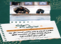 استوری حدیث/  امام رضا (ع): اطاعت از پدر و مادر واجب است 