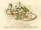 پوستر: احادیث امام رضا (ع)